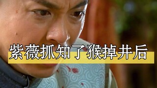 Everyone's reaction after Ziwei fell into the well.