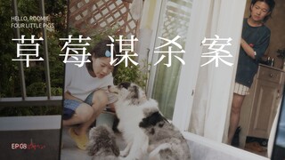 《草莓谋杀案》