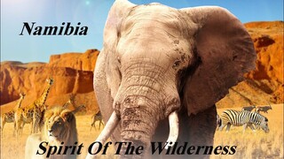 Namibia - The Spirit Of Wilderness (2016) Subtitle Indonesia