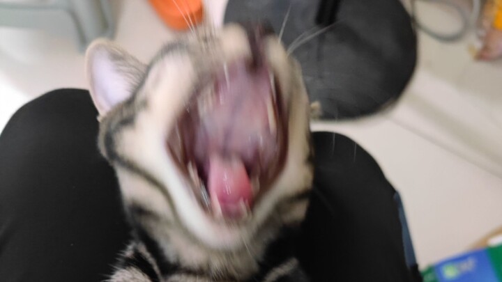 “Where’s my husband?!”