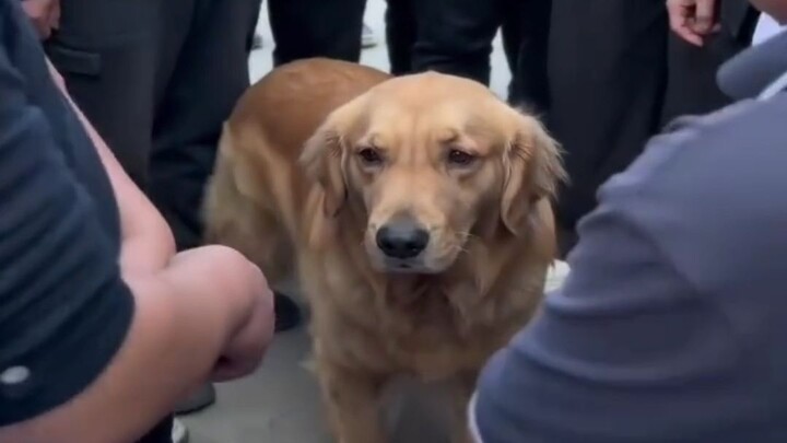 “Is the big dog going to bark or not?”