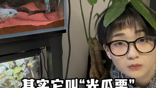 The Money Tree reminds you: Please hold back on watering! Thank you!