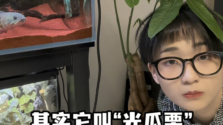 Pohon rejeki mengingatkan Anda: Tolong kendalikan tangan Anda saat menyiram! Terima kasih!