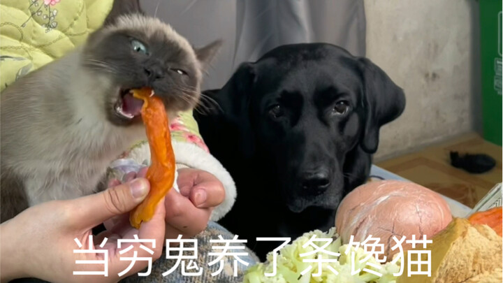 You really are picky about nothing.