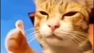Tertawalah setiap hari dan lupakan kekhawatiranmu
