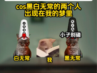 真让我遇上黑白无常了2.0
