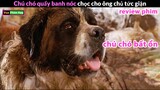 chú chó Bất Ổn nhất quả Đất - review phim Chú Chó Beethoven