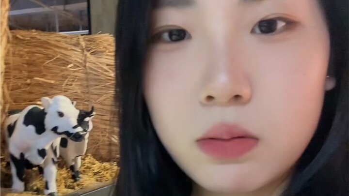 Bị咩咩 mắng rồi