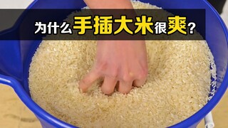 The "rice pile" that makes people addicted! Why do you like to put your hands in rice when you go to