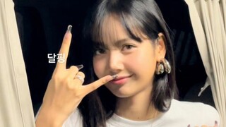 ليزا ترد على معجبيها الصينيين، لقطات طعام من موقع الحدث اليوم!