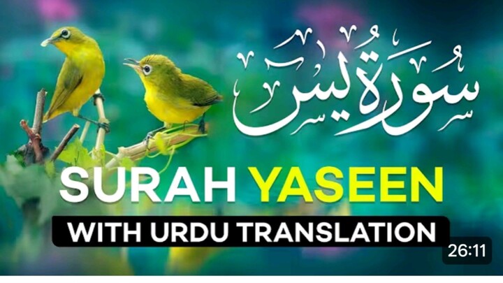 Surah Yasin/ surat Yasin with Urdu translation / Quran tilawat