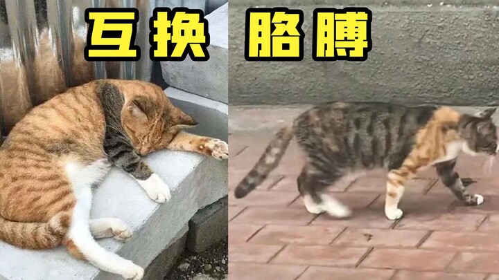 Do you see this big flower arm? I picked it up