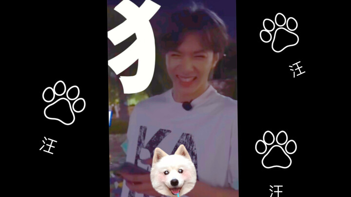 全世界还有谁，比你更像修狗^