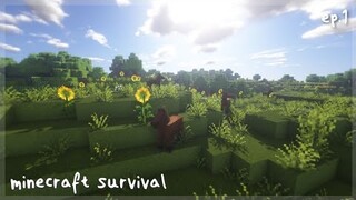minecraft survival | ransacking a village |  ep.1