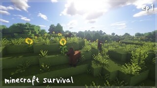 minecraft survival | ransacking a village |  ep.1