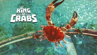 Vua Cua Đại Chiến ||  Cua Hoàng Đế Đánh Đập Các Bé Cua Tàn Ác || Cá Mòi TV King of Crabs