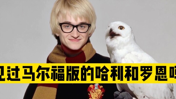 汤姆米有被选上哈利和罗恩，才演了马尔福｜【15个试镜哈利波特落选的演员】