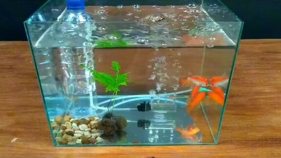 tipid sa kuryente...diba gayahin nyo na lang guys..