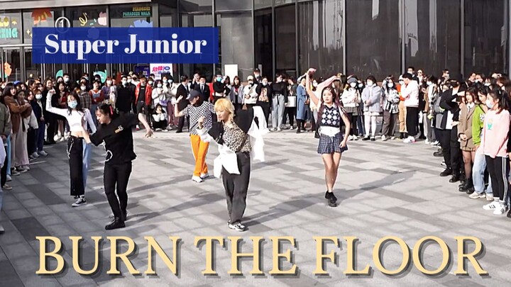 【Super Junior】Burn The Floor 随唱谁跳南京第三次KPOP随机舞蹈