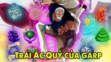 Top 10 Trái Ác Quỷ Phù Hợp Với Anh Hùng Hải Quân Garp | Giả Thuyết One Piece