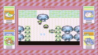 Pokémon Red-Facing Brock