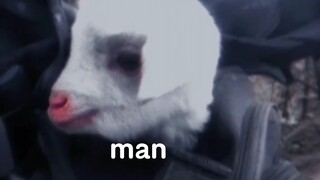 كيفية تسمية رجل الحمل