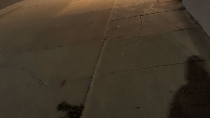 Winnipeg Police Response - 10/20/2026.
