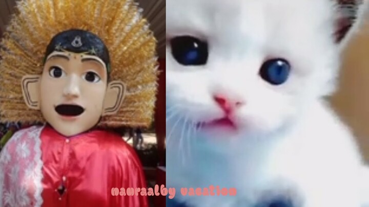 Ondel Ondel Suka Nonton Kucing Lucu