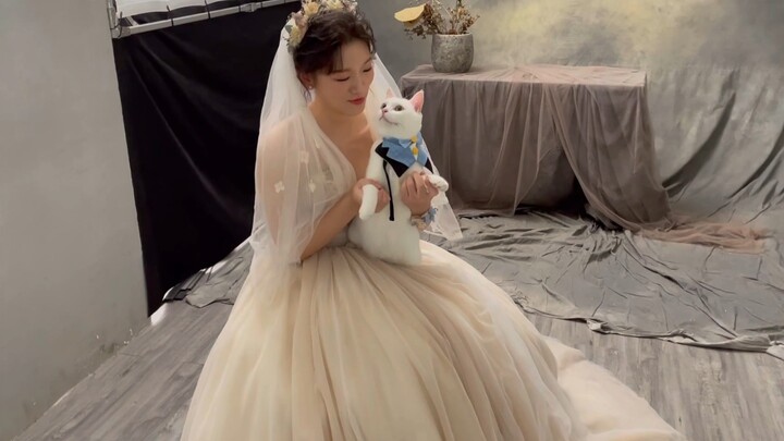 Taking my multimillion-dollar dowry (cat) along to our wedding photoshoot