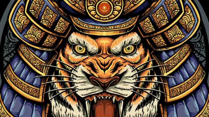 The Tiger🔥