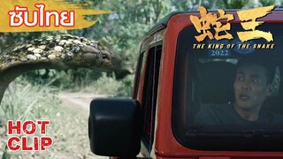 Clip | ซับไทย | นักข่าวถูกงูตัวใหญ่ไล่ล่าตลอดทาง | ราชางู (The King of The snake) | แอคชั่น ผจญภัย