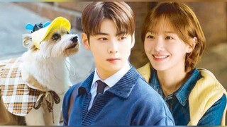 A Good Day to be a Dog Episode 22 Tagalog Dubbed