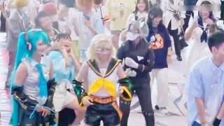【ซากุระ】เต้นรำอย่างบ้าคลั่งเวอร์ชั่น