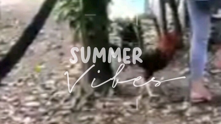 summer spar yc gameyard