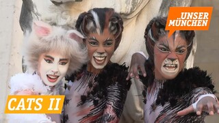 Cats II (Deutsches Theater)