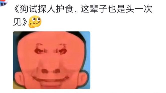 หมา: โดนกัดครั้งเดียว ต้องลับมีดเตรียมไว้สิบปี