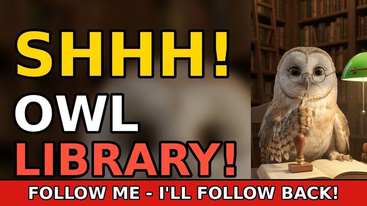 Shhh! This Owl Runs the Library 🤫🦉