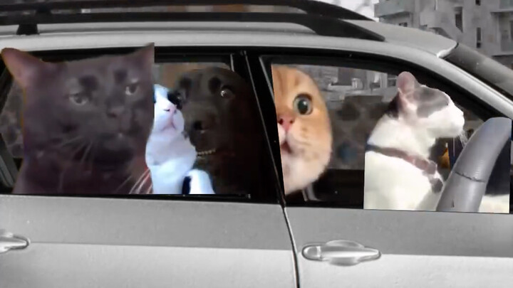 You’re riding in a car with that friend who’s always singing.