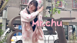 Mr.chu
