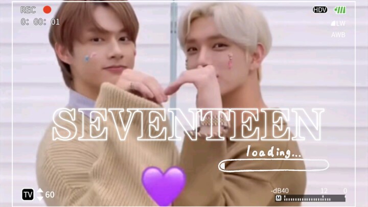 【SEVENTEEN】Those TikTok Videos That Will Be Buried With Me 2