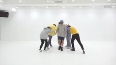 BTS - Spring Day (Dance Practice) (Lovely Version)