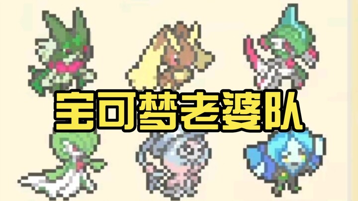 Đội vợ Pokémon, tập đẹp mắt nhất (Đội vợ dạng người hơi khó tụ họp đủ thành viên, đành tính luôn cả 