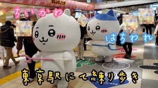 【東京駅】ちいかわ & ハチワレ  練り歩き かわいいぞぉ!!!!!