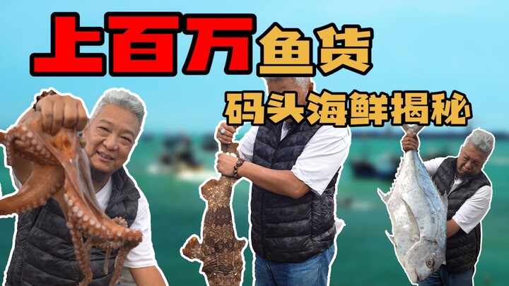 【上青杰哥】百万渔获