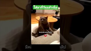 ใส่มากี่วันแล้วเนี่ย