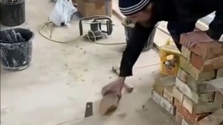 البناء هو كذبتك