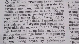 Pang Araw Araw na Talata.               Exodus 8:1-4