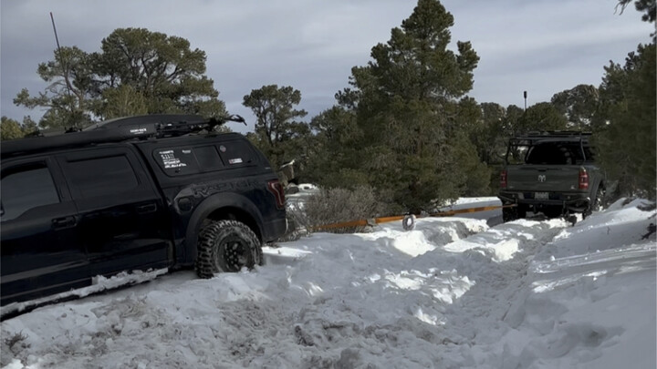 A couple from northeast California drove eight hours to come rescue me—so touching!