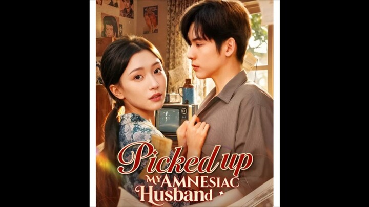 Picked Up my Amnesia Husband