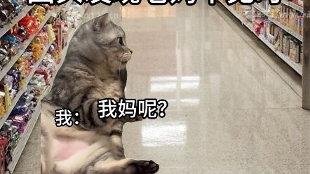 แม่จ๋า แม่ไปไหนมา?